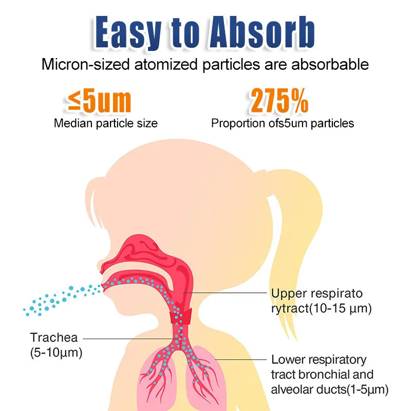 Portable Rechargeable Nebulizer